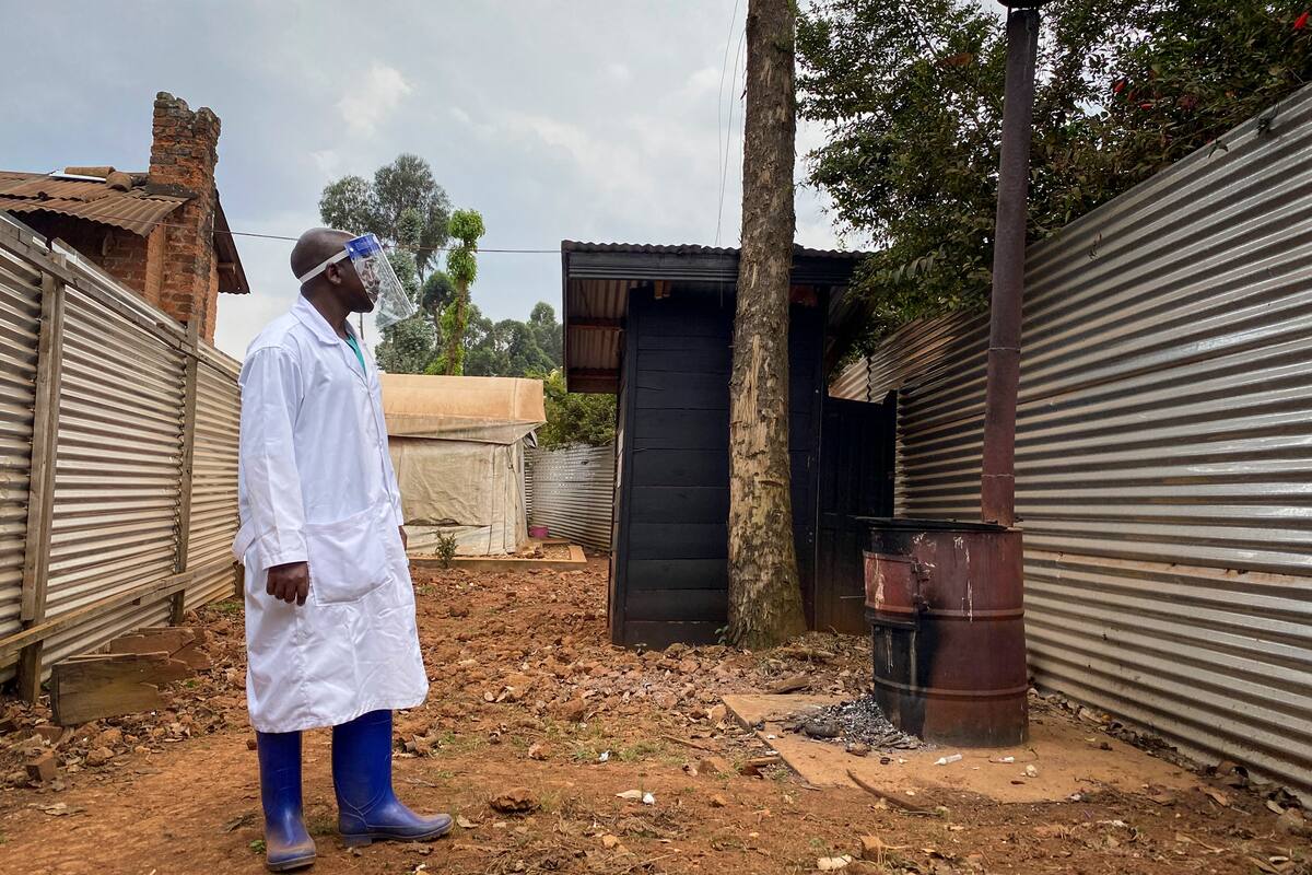 El virus de Malburgo tiene una tasa de mortalidad del 50% y un alto nivel de contagiosidad