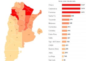 El virus del dengue circula en 19 provincias