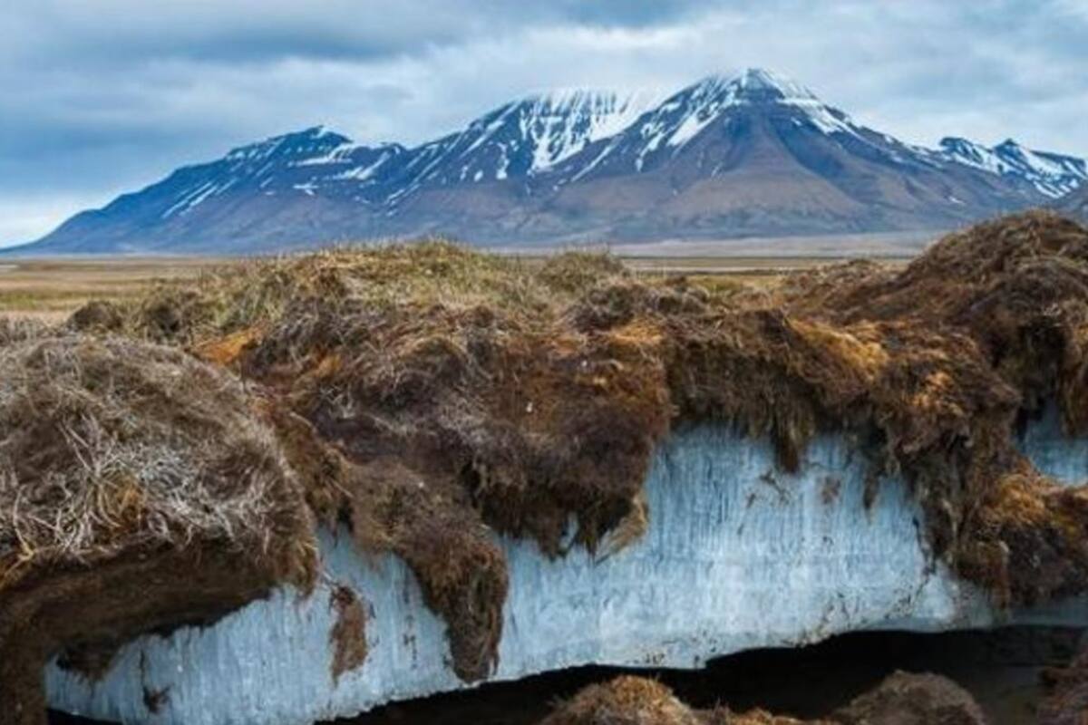 El virus fue detectado en una capa de suelo conocida como "permafrost" que viene perdiendo su consistencia debido al calentamiento global