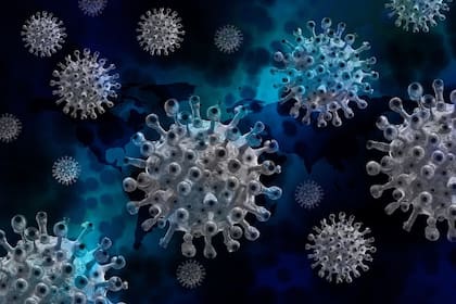 El virus que actualmente circula en el Congo aún no fue catalogado