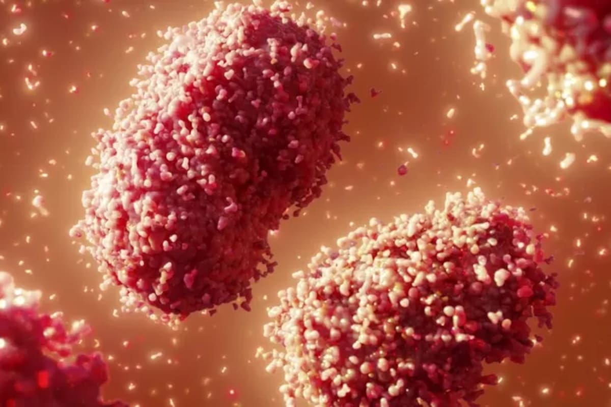 El virus que provoca la viruela del mono