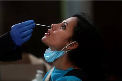 El virus utilizado fue una de las primeras variantes tomada de un paciente al comienzo de la pandemia