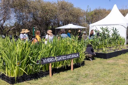 El vivero acuático Naturalia estuvo presente en la edición anterior con éxito de ventas, y este año vuelve a ser parte del Paseo de compras.