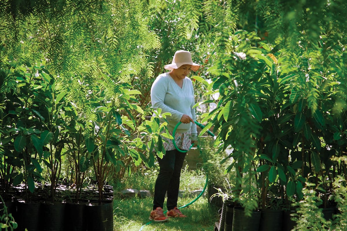 El vivero APrA (Agencia de Protección Ambiental) funciona en Villa Soldati.