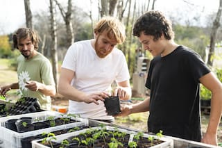 Dónde encontrar las especies de plantas nativas que son más difíciles de conseguir