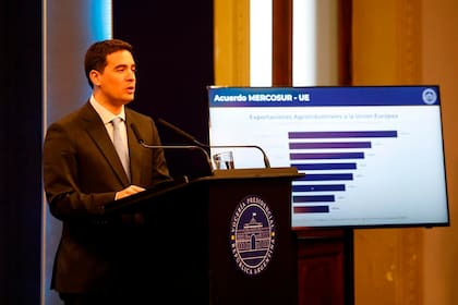 El vocero presidencial, Adrián Ravier
