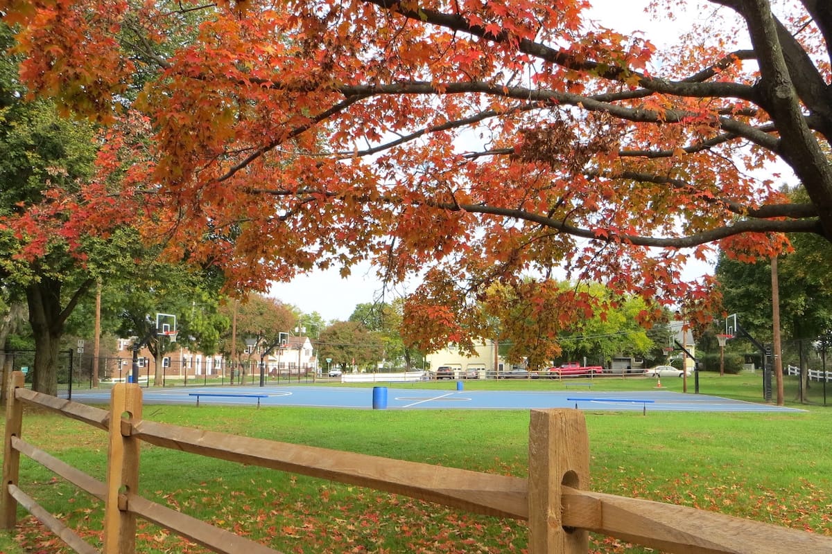 El volcán Beemerville o Rutan Hill se encuentra en Colesville, Nueva Jersey (Beemerville.org)