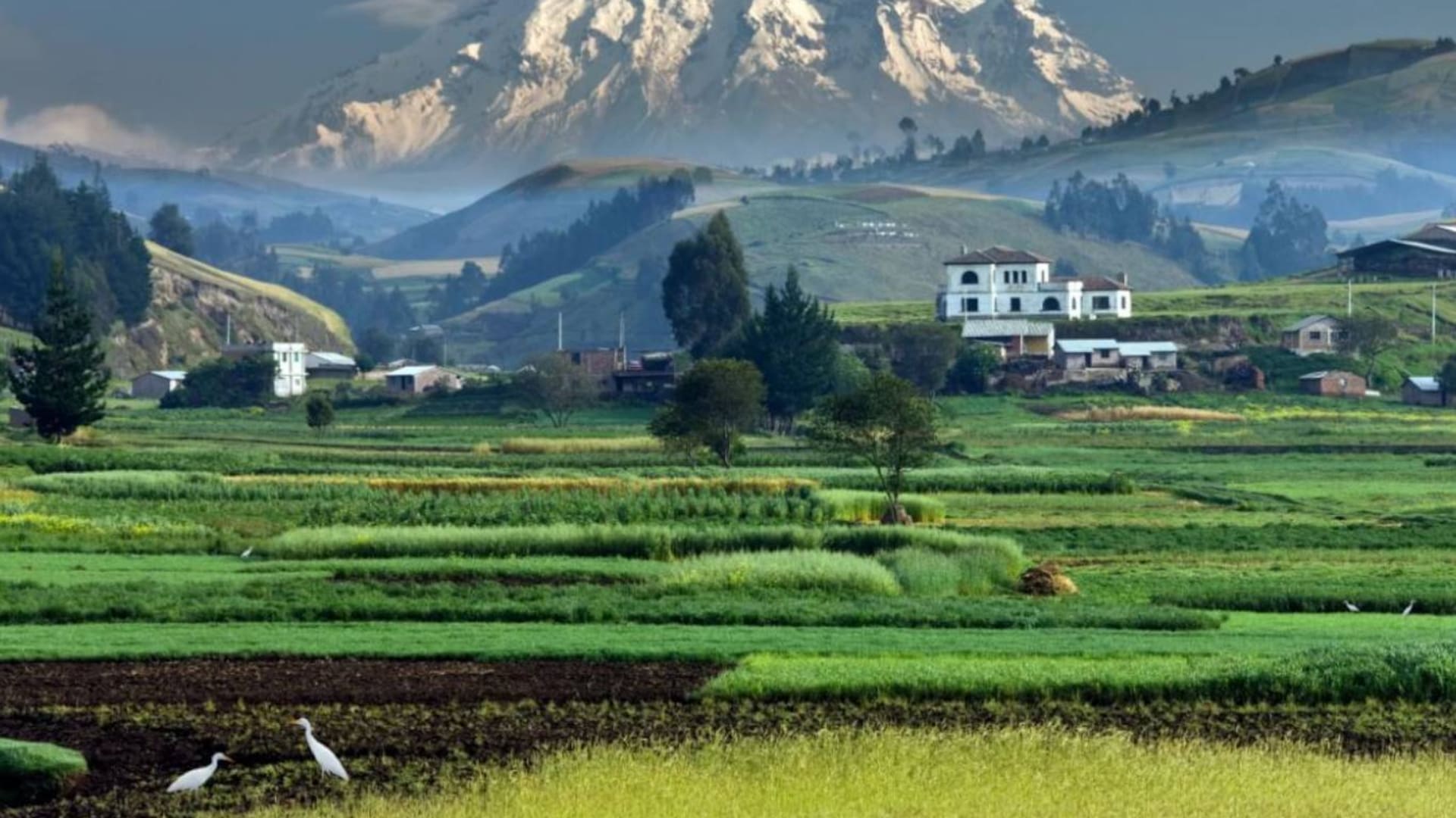 El volcán Chimborazo se ubica en Ecuador y su cima es el punto que se encuentra más cerca del Sol del planeta Tierra