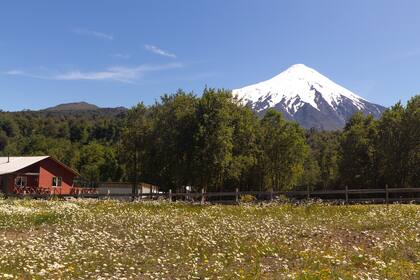 El volcán Osorno es la estrella de la región.