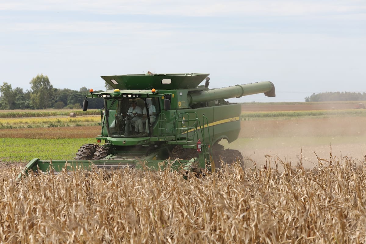 El volumen de producción viene creciendo en forma sostenida en los últimos años