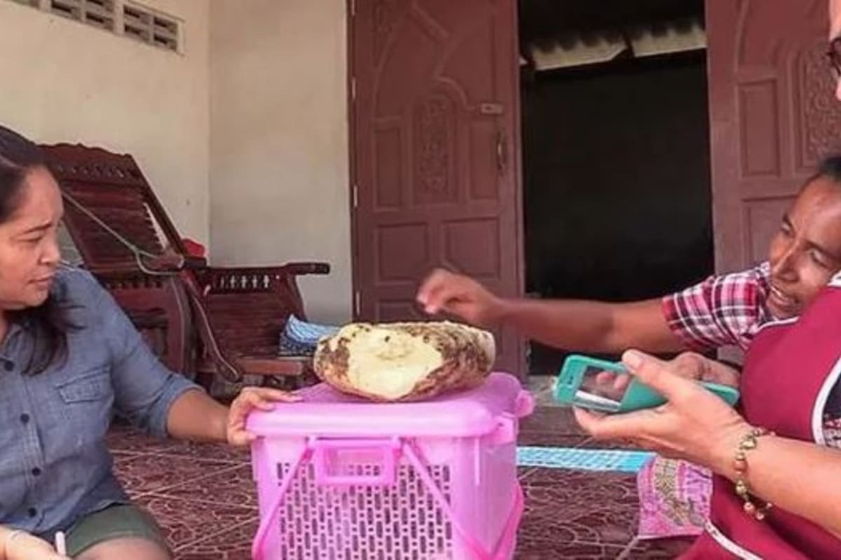 El vómito de cachalote encontrado pesa 7 kilos