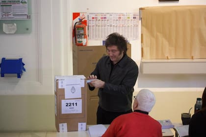 El voto de Javier Milei