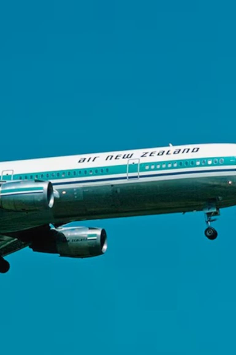 El vuelo TE901 era un vuelo turístico panorámico a la Antártida, un tipo de excursión aérea que Air New Zealand ofrecía cada verano desde 1977. No aterrizaba en el continente: lo sobrevolaba y regresaba el mismo día.