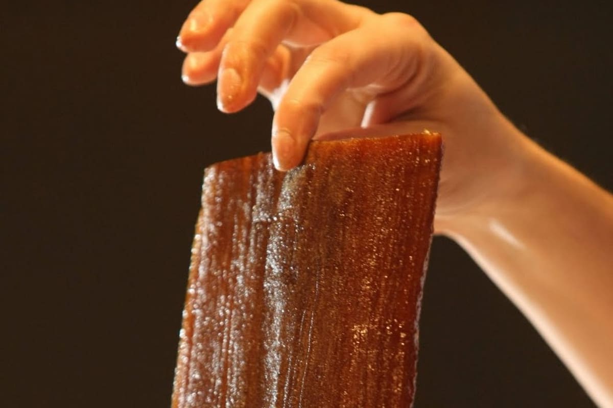 El yacaratiá es la única madera comestible