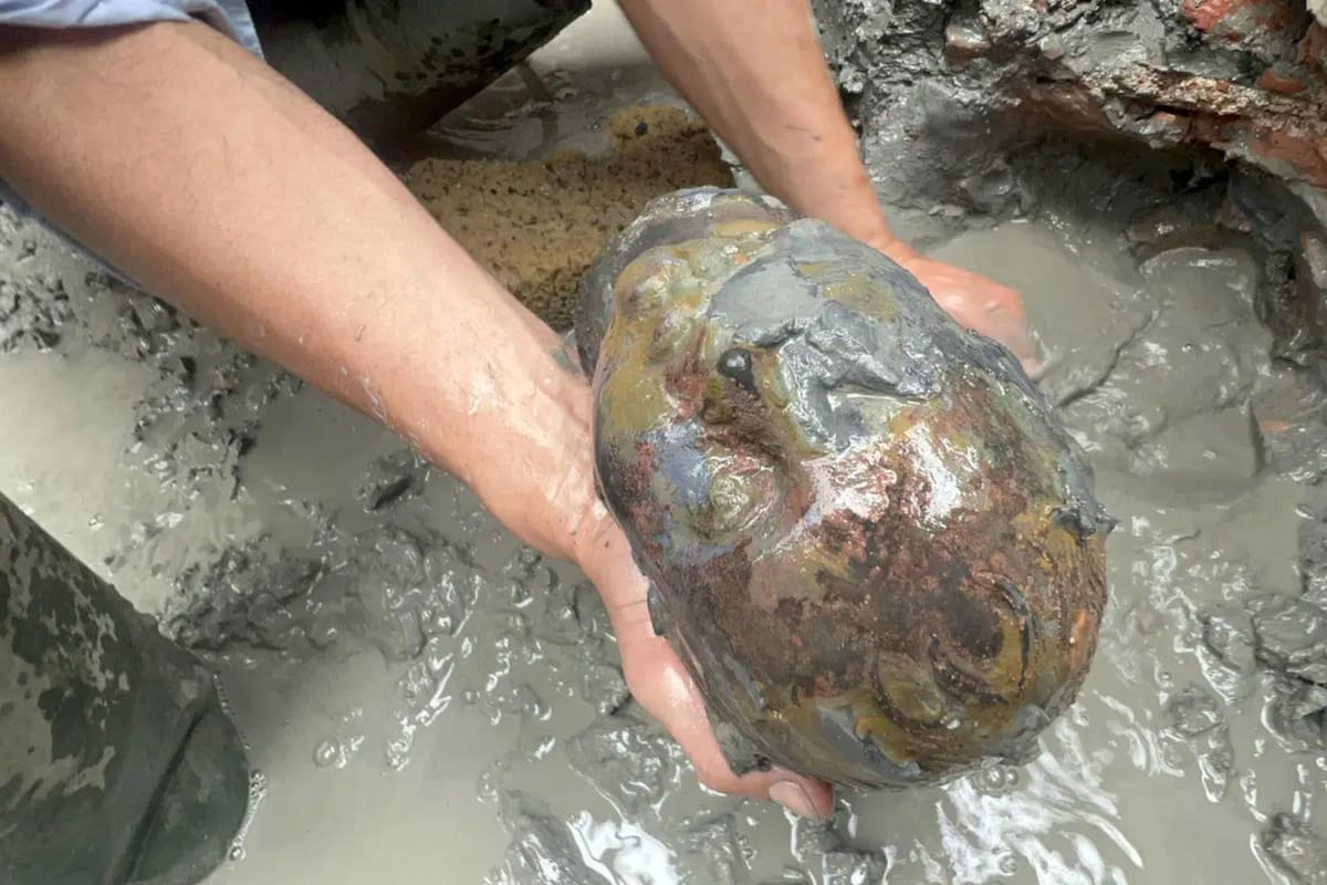 El yacimiento arqueológico romano del que hace tres años sustraen reliquias milenarias