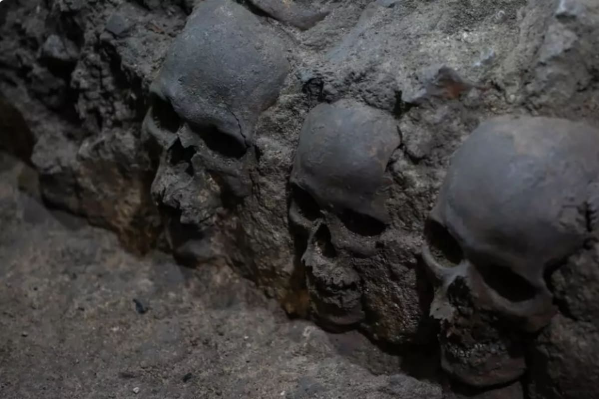 El yacimiento, ubicado a varios metros de profundidad, se cree que pertenece al costado este y la fachada externa de la torre de cráneos del Huei Tzompantil, una plataforma construida entre 1486 y 1502 (Foto: Gentileza LADbible)