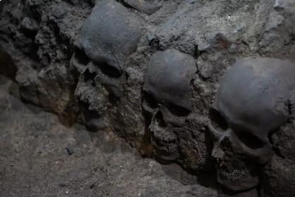 El yacimiento, ubicado a varios metros de profundidad, se cree que pertenece al costado este y la fachada externa de la torre de cráneos del Huei Tzompantil, una plataforma construida entre 1486 y 1502 (Foto: Gentileza LADbible)