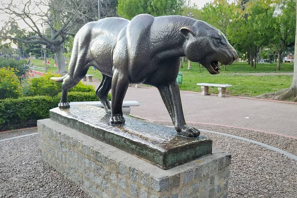 El yaguareté que se encuentra en Parque Chacabuco fue retirado de allí en dos oportunidades, pero regresó por insistencia de los vecinos