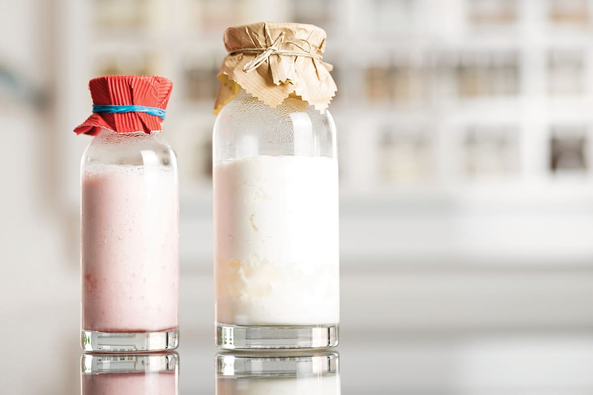 El yogur es un sobreviviente actual de las prácticas ancestrales de la fermentación