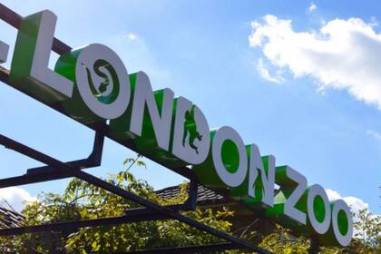 El zoológico de Londres