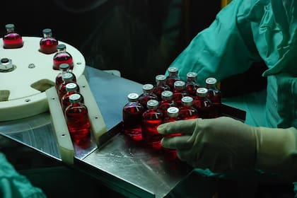 Elaboración de la vacuna antirrábica en el Instituto Biológico Doctor Tomás Perón