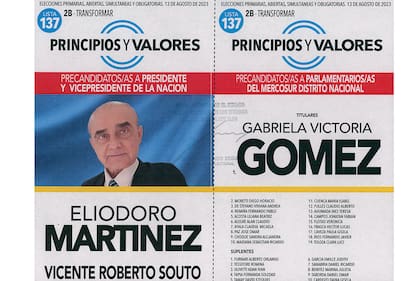 Elecciones 2023; PASO 2023; Boletas; Política,