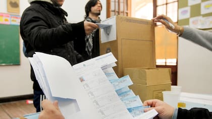 Elecciones 2017