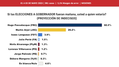 Elecciones en Misiones