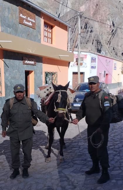 Elecciones en Salta