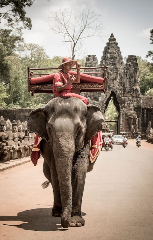 Elefante en Angkor Thom.
