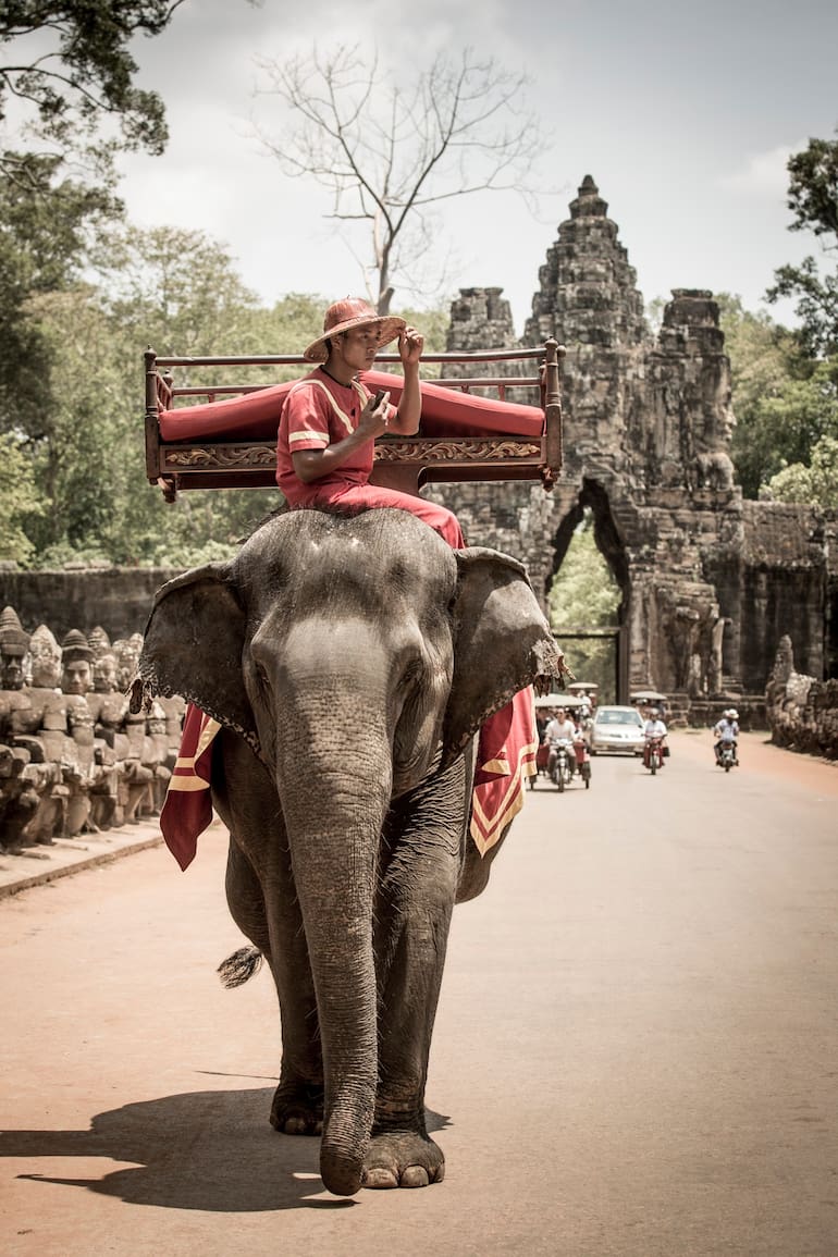 Elefante en Angkor Thom.