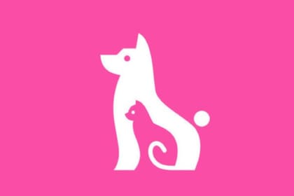 Elegí un animal y descubrí si sos bondadoso o no