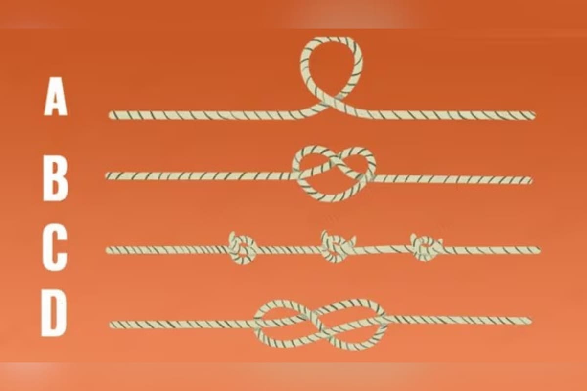 Elegí una de las cuatro cuerdas y descubrí un rasgo de tu inteligencia