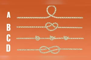 Elegí una de las cuatro cuerdas y descubrí un rasgo de tu inteligencia