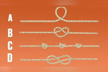 Elegí una de las cuatro cuerdas y descubrí un rasgo de tu inteligencia