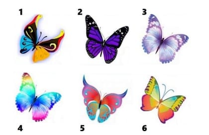 Elegí una de las mariposas y conocé detalles de tu personalidad