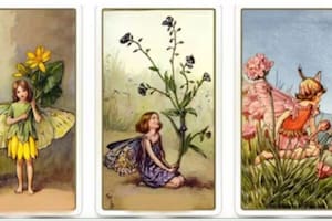 Elegí una de las tres cartas y conocé cómo será tu futuro inmediato