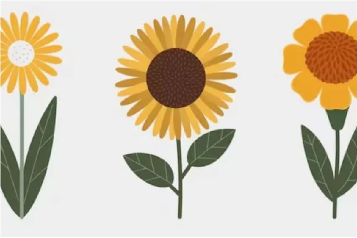 Elegí una de las tres flores y conocé detalles de tu personalidad