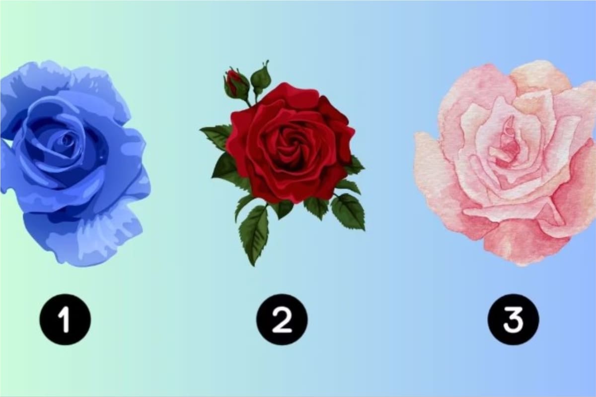Elegí una de las tres rosas para saber cuál es tu pareja ideal