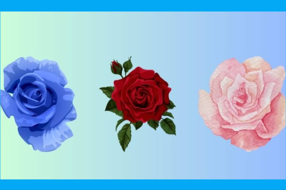 Elegí una de las tres rosas y conocé detalles de tu personalidad