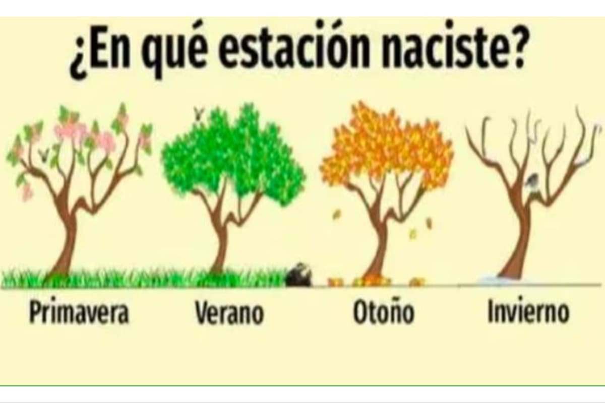 Elegí una estación del año y conocé rasgos de tu personalidad