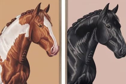 Elegí uno de los caballos que revelará cuál es tu talento oculto