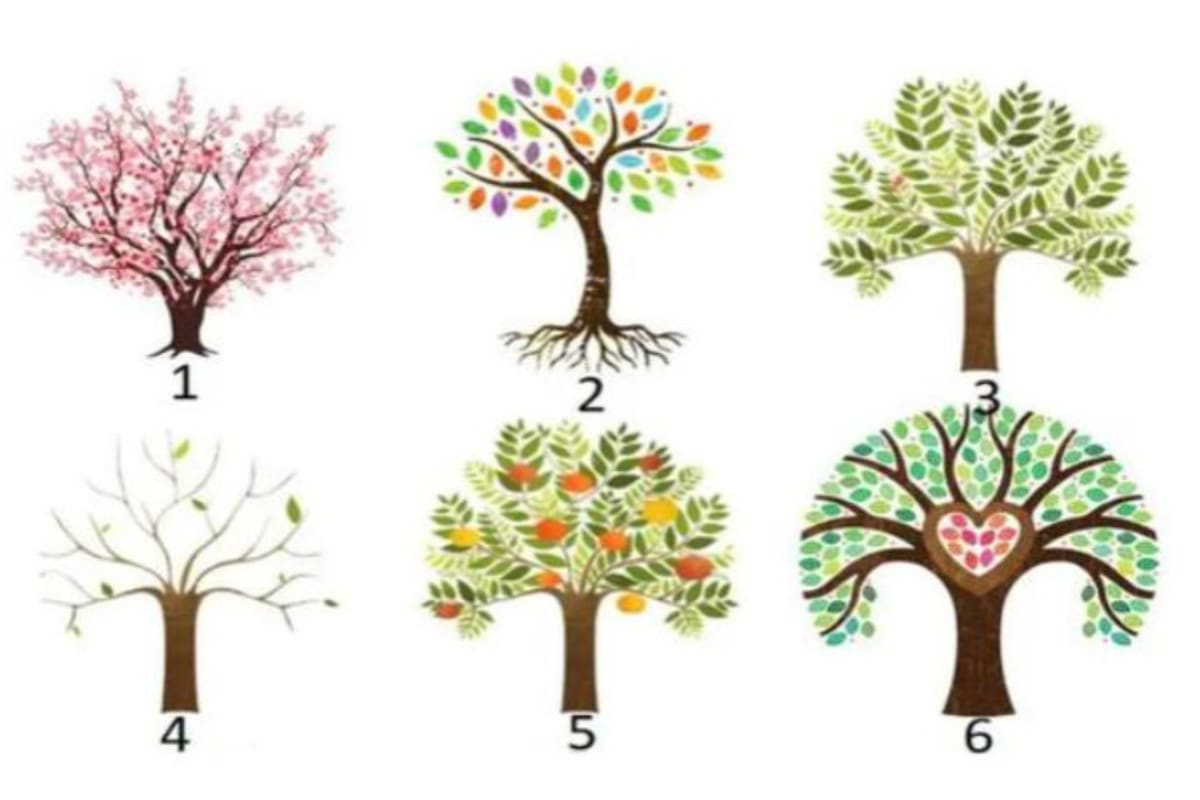 Elegí uno de los seis árboles y conoce cómo es tu forma de ser