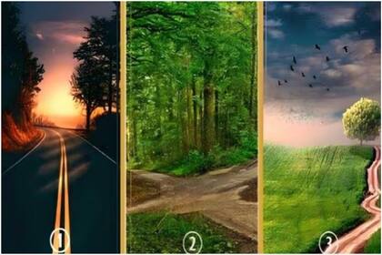 Elegí uno de los tres caminos y conocé si estás cerca de cumplir tu sueño