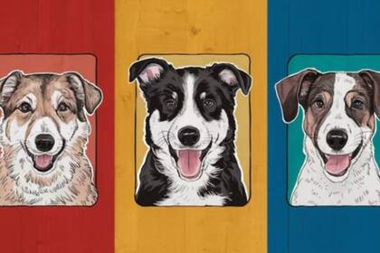 Elegí uno de los tres perros para conocer detalles profundos de tu personalidad