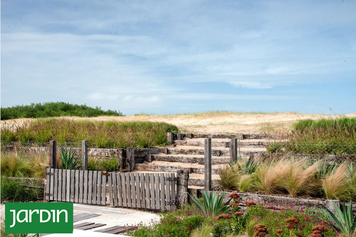 Elegir especies que aceptan el viento, toleran el salitre y prosperan en suelos austeros es una forma inteligente de jardinería