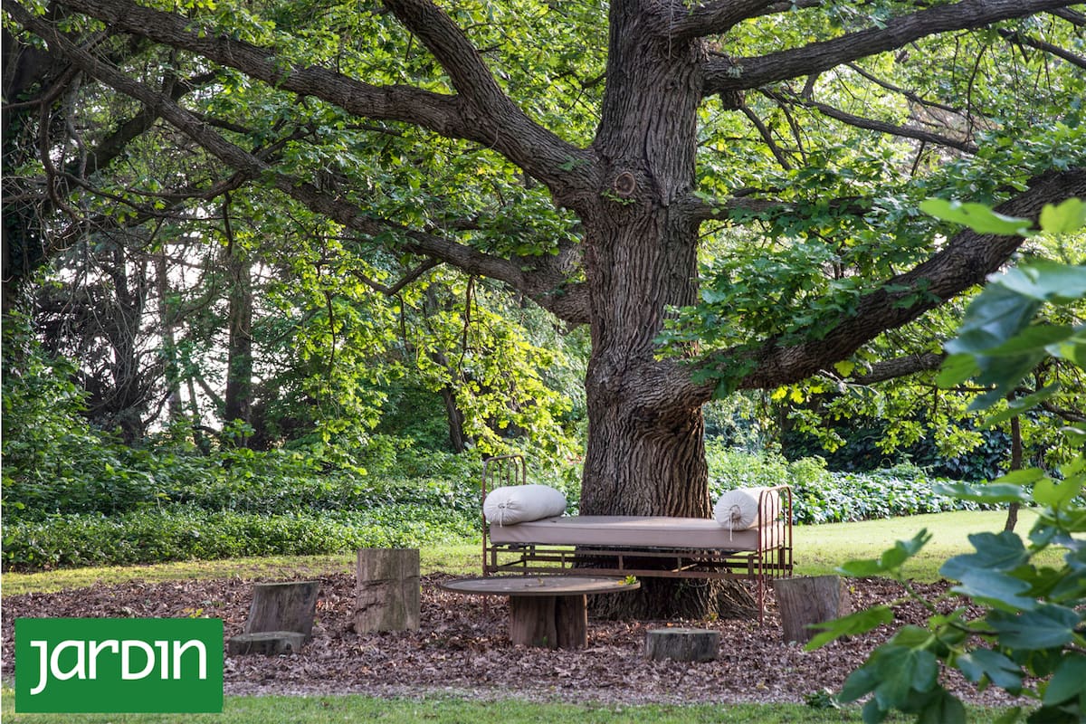 Elegir un árbol, diseñar un refugio: ideas fáciles para crear rincones que invitan a parar