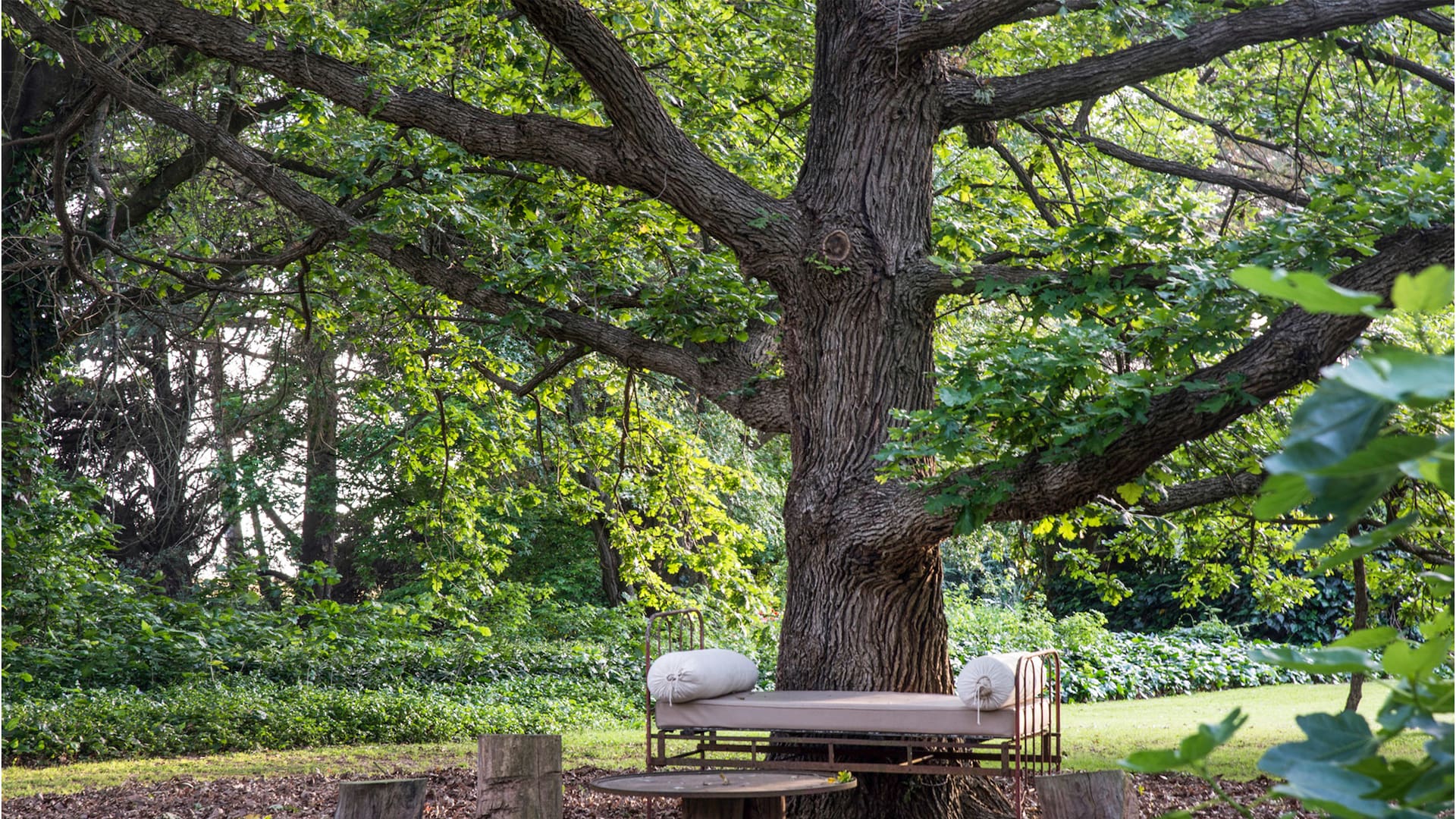 Elegir un árbol, diseñar un refugio: ideas fáciles para crear rincones que invitan a parar