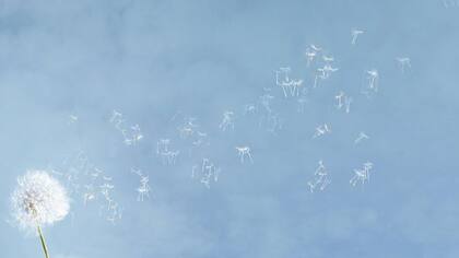 Elementos de la composición del aire (Foto: GETTY)