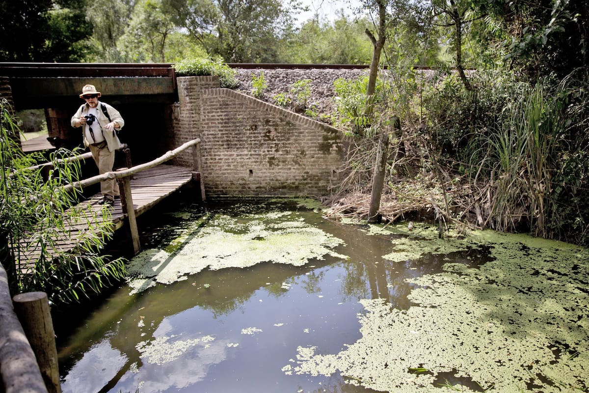 Elevarán a esa categoría de protección ambiental el área que integran las reservas Otamendi y Río Luján; allí viven 309 especies de aves y 49 de mamíferos